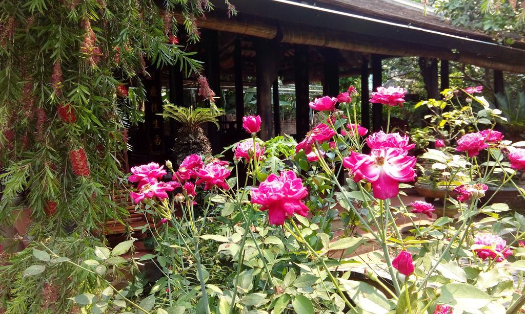 Tam Tinh Vien Homestay Hue Exterior foto